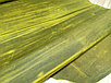 Натуральная кожа Крейзи Хорс 1.3-1.5 цвет "Фисташка", фото 2