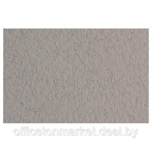Бумага для пастели "Tiziano", 50x65 см, 160 г/м2, серый теплый - фото 1 - id-p211679017