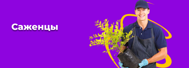 advantage banner