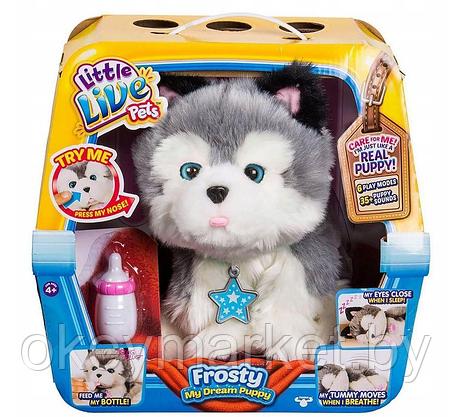 Интерактивная игрушка Little Live Pets Ласковый щенок, фото 2