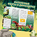 Обучающий набор «В мире динозавров», книга и пазл, фото 5