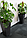 Горшок цветочный Sonata 50см, 26x26x50см, черный сланец, фото 3