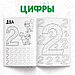 Набор «Мои первые прописи», 4 шт. по 20 стр., А5, Синий трактор, фото 5