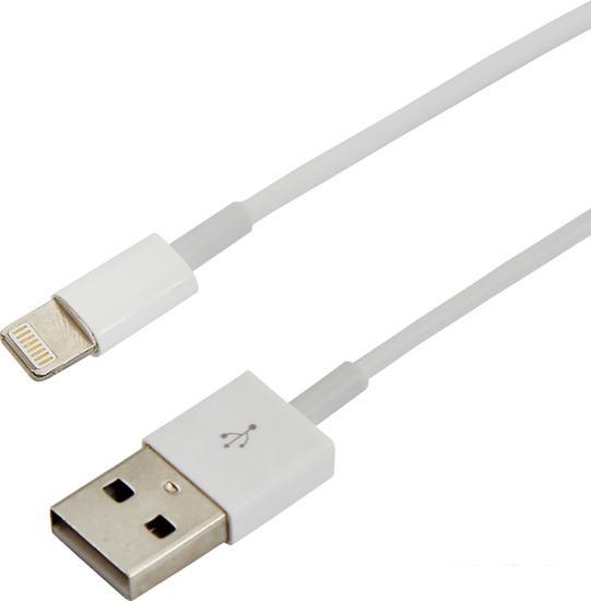 Кабель Rexant 18-0001 USB Type-C - Lighting (1 м, белый) - фото 1 - id-p215286909