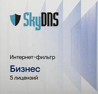 Интернет-фильтр SkyDNS Бизнес 5 ПК [цб-00003555]