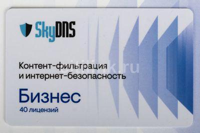 Интернет-фильтр SkyDNS Бизнес 40 ПК [цб-00003562] - фото 3 - id-p213141325