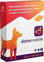 Неискл. право на исп-ие ПО DATAMOBILE версия Стандарт подп.1г. [dm12m]