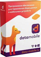 Неискл. право на исп-ие ПО DATAMOBILE версия Online Lite подписка на 1г [dmonlinelite12m]