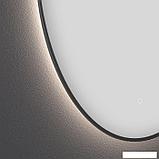 Овальное зеркало с фоновой LED-подсветкой Wellsee 7 Rays' Spectrum 172201930 (55*110 см, черный контур,, фото 2