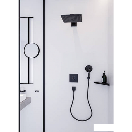 Косметическое зеркало Hansgrohe AddStoris 41791670, фото 2