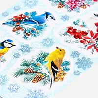 Декоративные наклейки Мир открыток Птицы