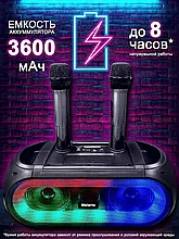 Портативная Bluetooth колонка караоке ZQS 4247 с двумя беспроводными микрофонами FM USB TF Type-C