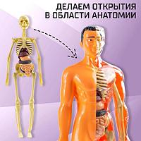 Научный опыт Эврики Строение тела