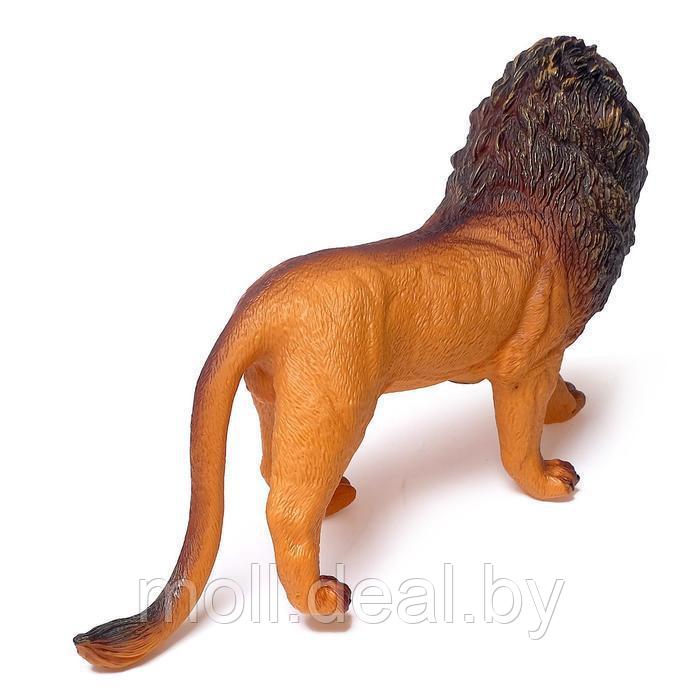 Фигурка животного "Африканский лев", длина 35 см - фото 2 - id-p215583411