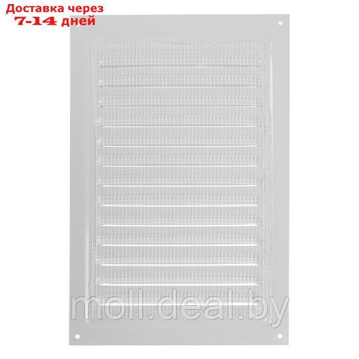 Решетка вентиляционная ZEIN Люкс РМ2030С, 200 х 300 мм, с сеткой, металлическая, серая - фото 6 - id-p215757396