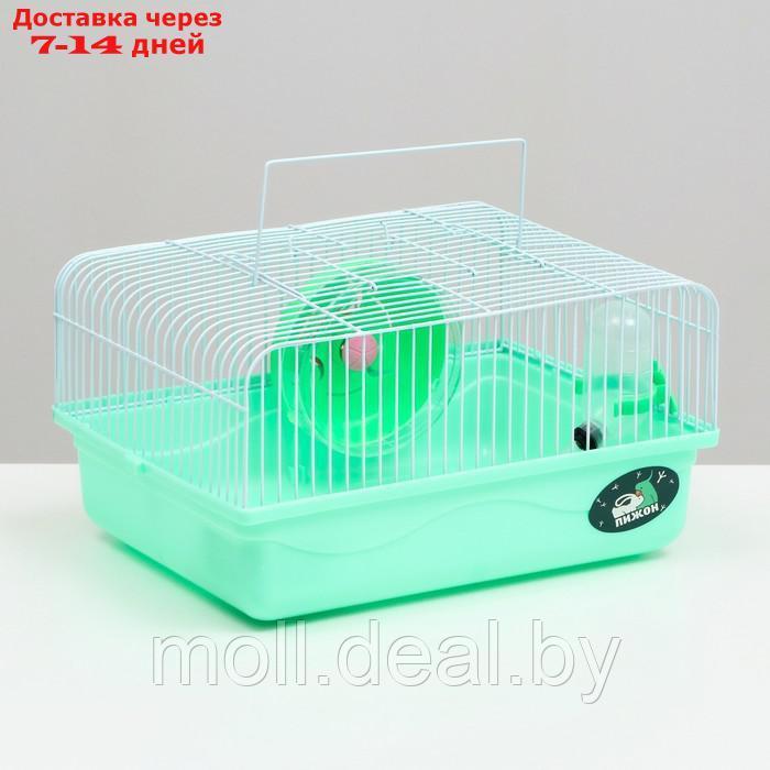 Клетка для грызунов "Пижон", 31 х 24 х 17 см, зелёная - фото 1 - id-p215744766