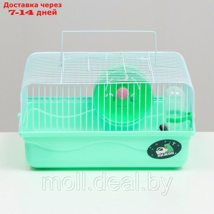 Клетка для грызунов "Пижон", 31 х 24 х 17 см, зелёная - фото 2 - id-p215744766