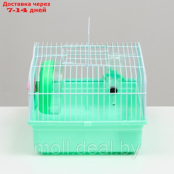 Клетка для грызунов "Пижон", 31 х 24 х 17 см, зелёная - фото 3 - id-p215744766