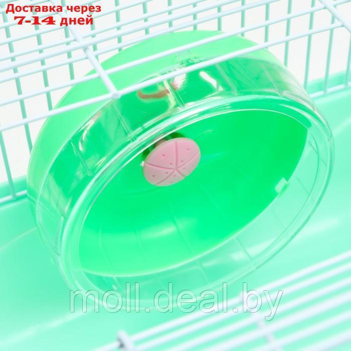 Клетка для грызунов "Пижон", 31 х 24 х 17 см, зелёная - фото 4 - id-p215744766