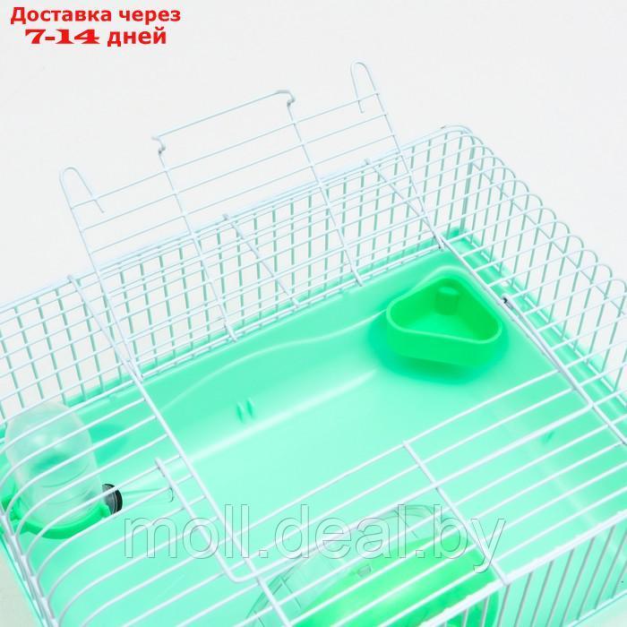 Клетка для грызунов "Пижон", 31 х 24 х 17 см, зелёная - фото 7 - id-p215744766