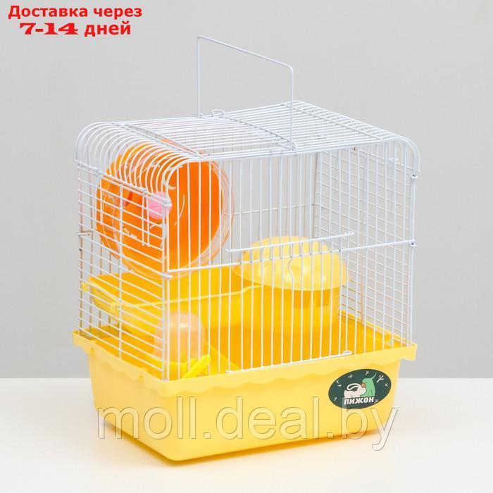 Клетка для грызунов "Пижон", 23 х 17 х 26 см, эмаль, жёлтая
