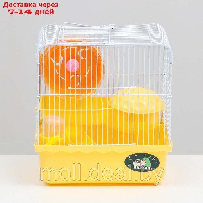 Клетка для грызунов "Пижон", 23 х 17 х 26 см, эмаль, жёлтая - фото 2 - id-p215744768