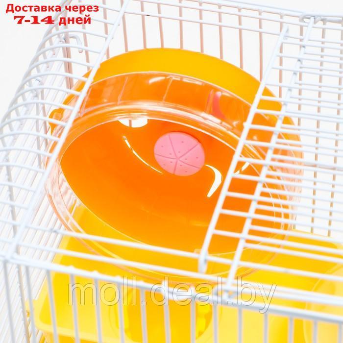 Клетка для грызунов "Пижон", 23 х 17 х 26 см, эмаль, жёлтая - фото 4 - id-p215744768