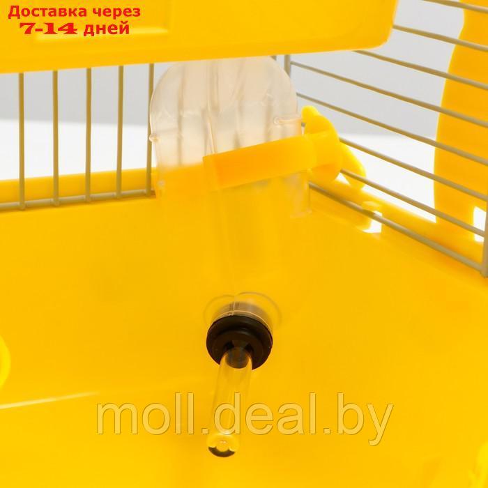 Клетка для грызунов "Пижон", укомплектованная, 27 х 21 х 26 см, жёлтая - фото 6 - id-p215744770