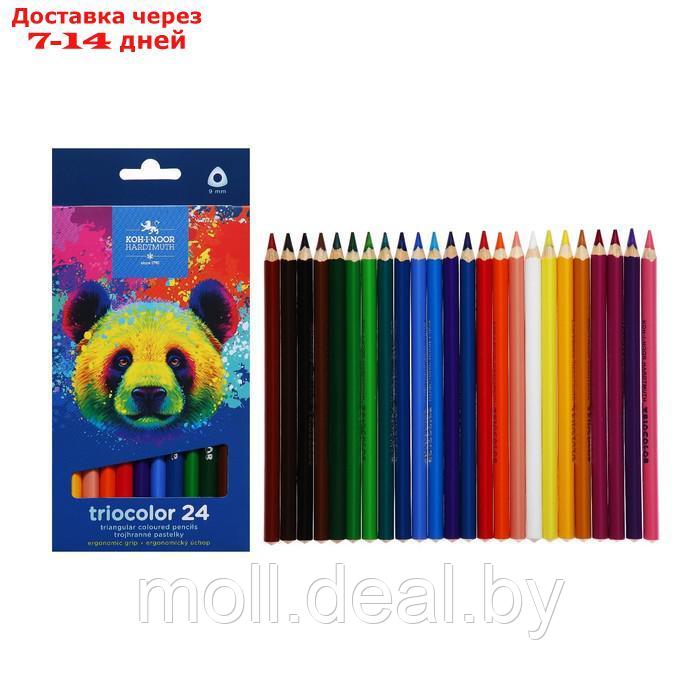 Карандаши Jumbo 24цв K-I-N 3144 Triocolor bear, утолщ, трехгранные, карт/уп - фото 1 - id-p215763169