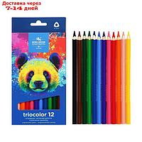 Карандаши Jumbo 12цв K-I-N 3142 Triocolor bear, утолщ, трехгранные, карт/уп