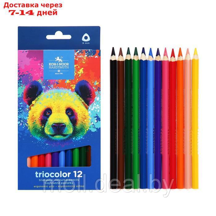 Карандаши Jumbo 12цв K-I-N 3142 Triocolor bear, утолщ, трехгранные, карт/уп - фото 1 - id-p215763171