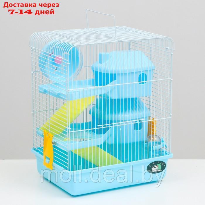 Клетка для грызунов "Пижон", двухэтажная с наполнением 31 х 24 х 40 см, голубая - фото 1 - id-p215744966