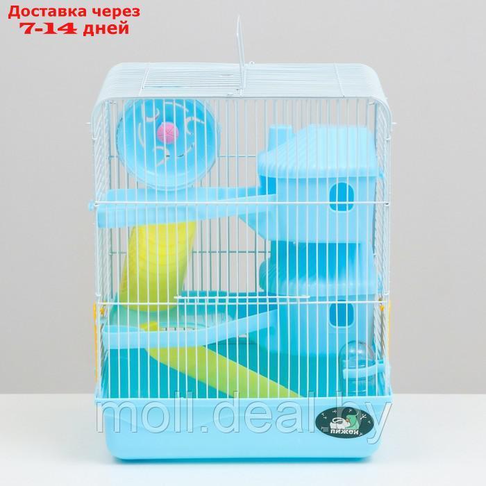 Клетка для грызунов "Пижон", двухэтажная с наполнением 31 х 24 х 40 см, голубая - фото 2 - id-p215744966