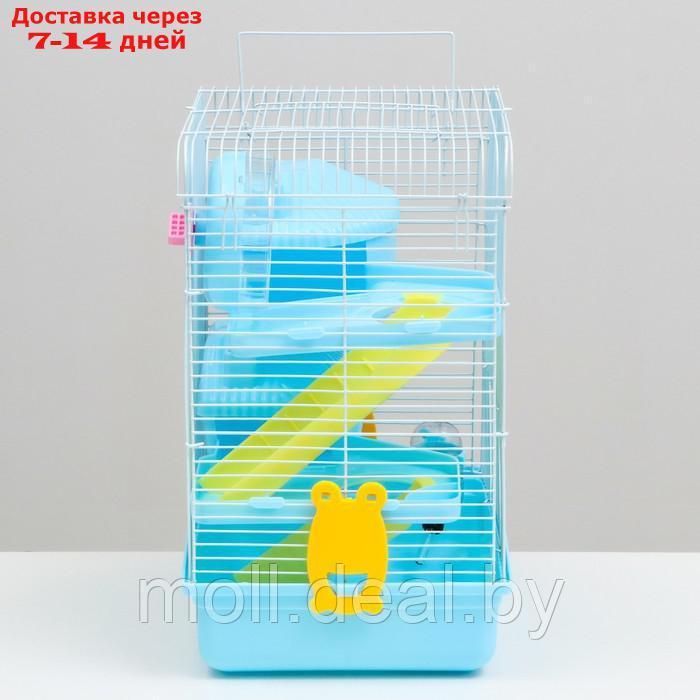 Клетка для грызунов "Пижон", двухэтажная с наполнением 31 х 24 х 40 см, голубая - фото 3 - id-p215744966