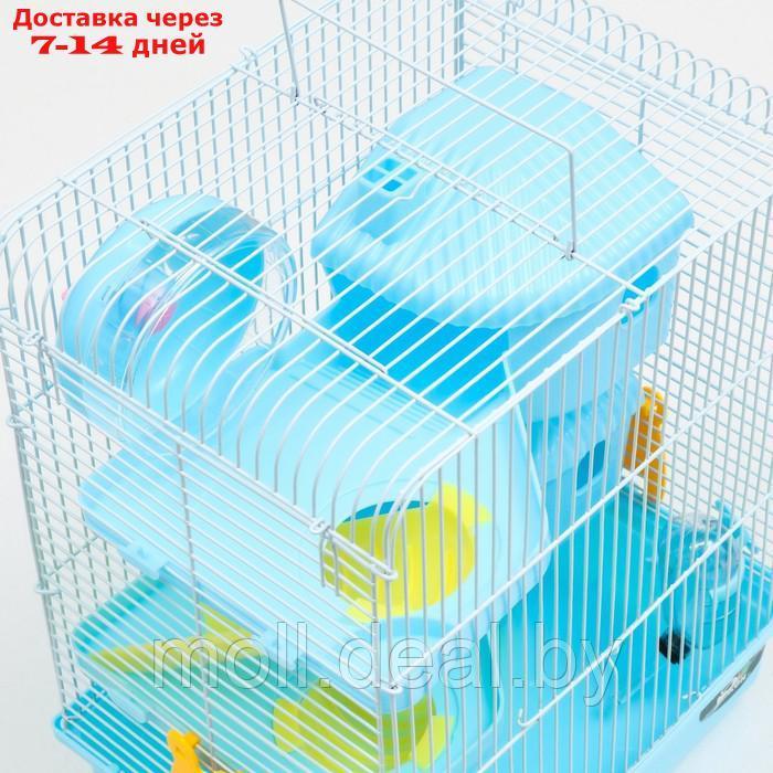 Клетка для грызунов "Пижон", двухэтажная с наполнением 31 х 24 х 40 см, голубая - фото 4 - id-p215744966
