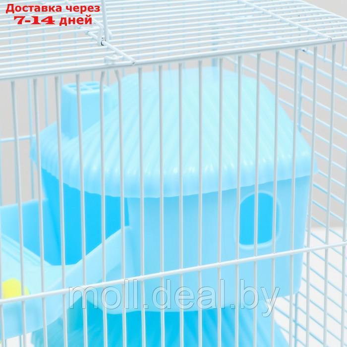 Клетка для грызунов "Пижон", двухэтажная с наполнением 31 х 24 х 40 см, голубая - фото 5 - id-p215744966