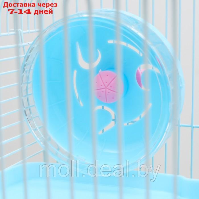 Клетка для грызунов "Пижон", двухэтажная с наполнением 31 х 24 х 40 см, голубая - фото 7 - id-p215744966
