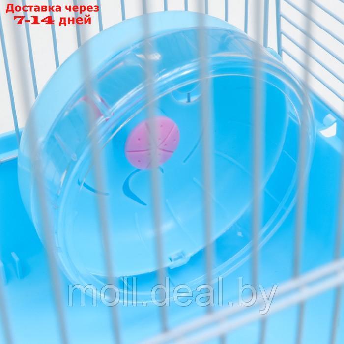 Клетка для грызунов "Пижон", укомплектованная, 27 х 21 х 26 см, синяя - фото 9 - id-p215744967