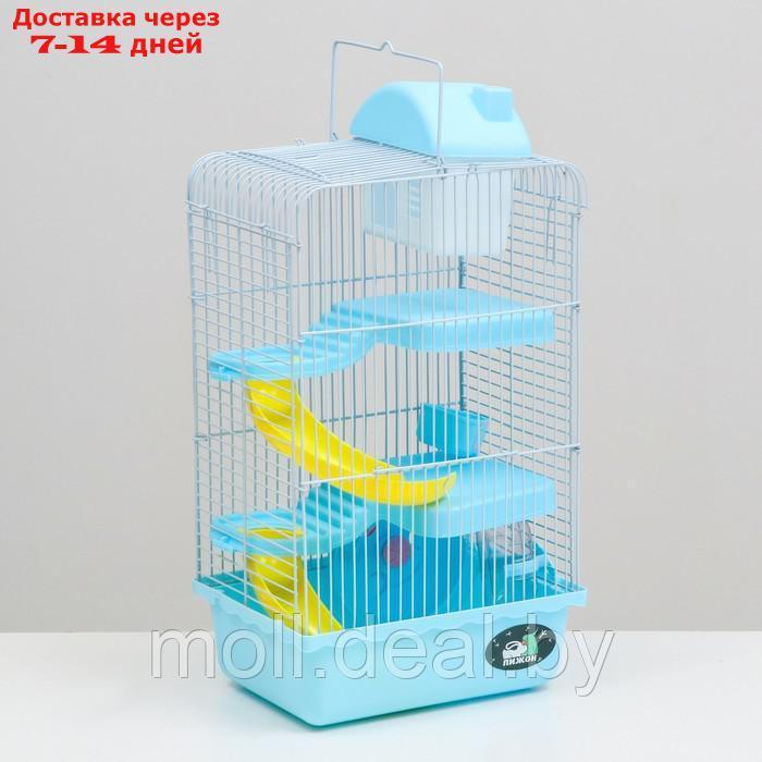 Клетка для мелких грызунов "Пижон", с наполнением, 23 х 17 х 45 см, голубая
