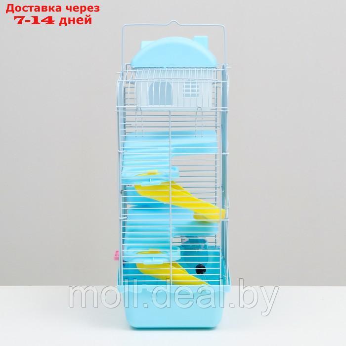 Клетка для мелких грызунов "Пижон", с наполнением, 23 х 17 х 45 см, голубая - фото 3 - id-p215744968