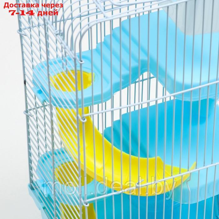 Клетка для мелких грызунов "Пижон", с наполнением, 23 х 17 х 45 см, голубая - фото 5 - id-p215744968
