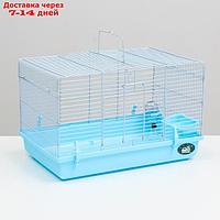Клетка для грызунов "Пижон", 47 х 30 х 30 см, голубая
