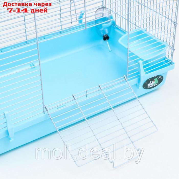 Клетка для грызунов "Пижон", 47 х 30 х 30 см, голубая - фото 4 - id-p215744969