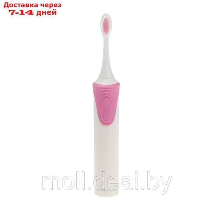 Электрическая зубная щётка Luazon LP-009, вибрационная, 8500 дв/мин, 4 насадки, 2хАА,розовая - фото 3 - id-p215746920