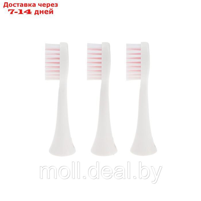 Электрическая зубная щётка Luazon LP-009, вибрационная, 8500 дв/мин, 4 насадки, 2хАА,розовая - фото 8 - id-p215746920