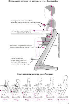 Стул детский Millwood Вырастайка 2 СДН-3 Кат 4.12 - фото 6 - id-p215834156