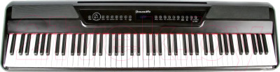 Цифровое фортепиано Jonson&Co JC-1800 BK - фото 1 - id-p215851725
