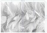 Фотообои Перья, Флизелиновые с виниловым покрытием (400х280 см), фото 4