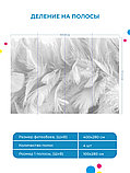 Фотообои Перья, Флизелиновые с виниловым покрытием (400х280 см), фото 5