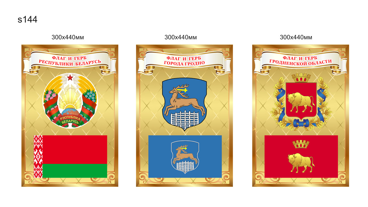 Комплект стендов с символикой Республики Беларусь и областных городов, с флагом и гербом. 300х440мм, фото 1